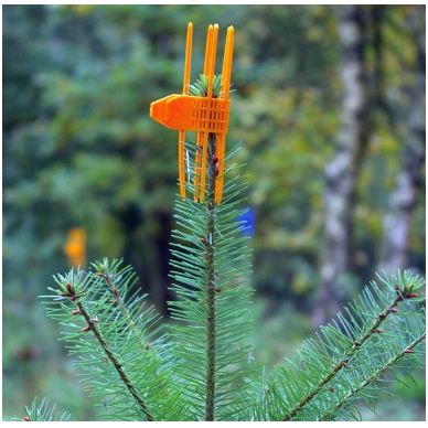 Apsauga ūglio Cactus Orange