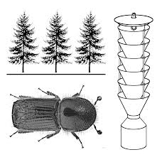 Feromoninė gaudyklė IBL-3 1