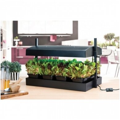 Grow Light Garden daigykla 24W Juoda